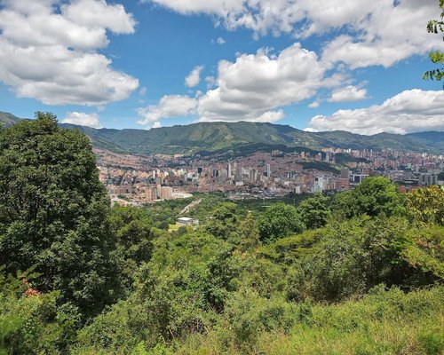 A pathway in a sunny local park in Medellin with lush green surroundings and people walking far away leisurely