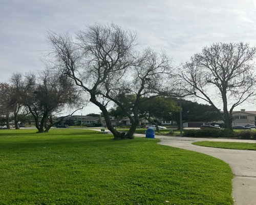An outdoor casual walkway in an explicit clean green suburban area of Cali during early dusk hours